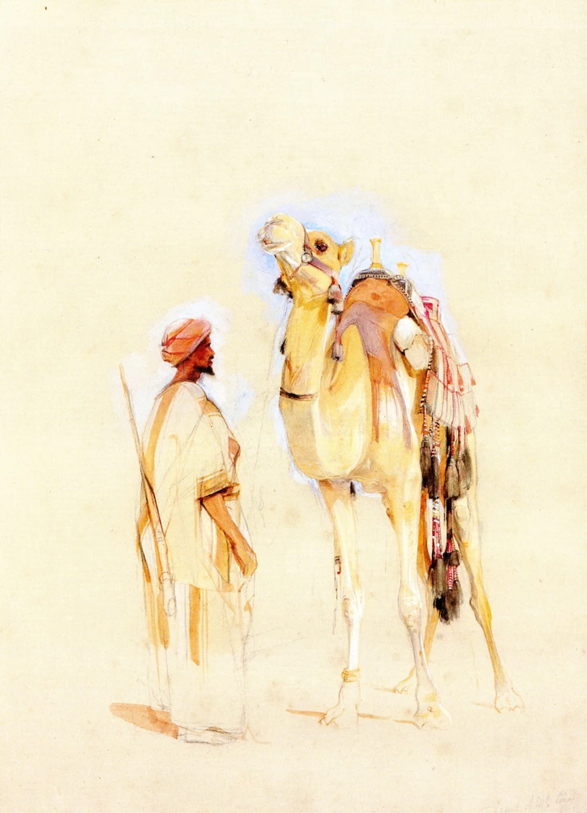Beduino con il cammello, Sinai
